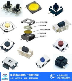 東莞市志順電子 專業供應硅膠輕觸開關，連接珠海等地的可靠批發合作伙伴